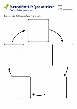 Essential Plant Life Cycle Worksheet | Grade 3 Science