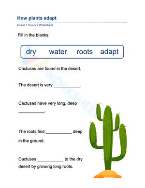 How Cactuses Adapt Worksheet | Grade 1 Essential Science