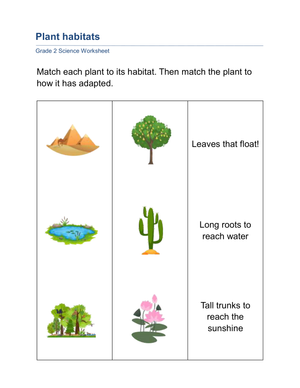 Printable Plant Habitats and Adaptations Worksheet | Grade 2