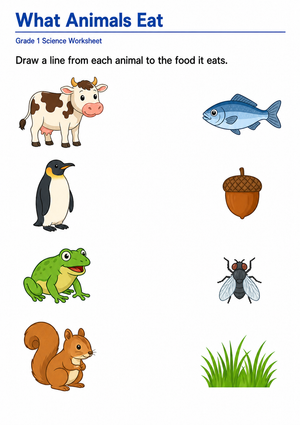 Grade 1 Animal Diet Worksheet — Printable Science