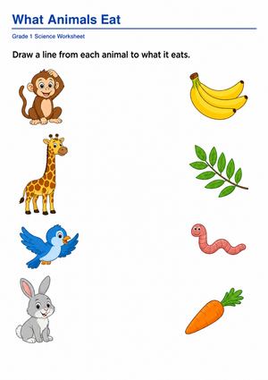 Printable What Animals Eat Worksheet | Grade 1 Science