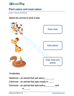 Plant eaters and meat eaters 1
