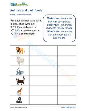 Animals and their foods 1