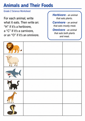 Grade 2 Animal Diet — Printable No-Prep Worksheet