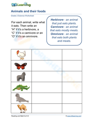 Animals and their foods 2