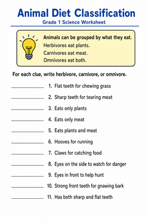 Essential Grade 1 Animal Diet Classification Worksheet