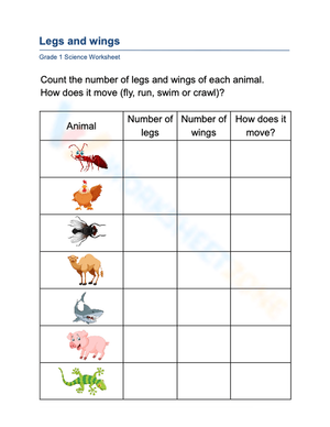 Essential Animal Movement & Features Worksheet | Grade 1