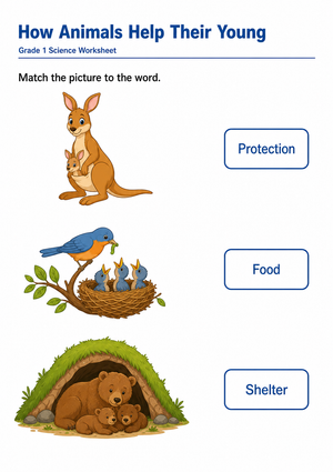 Essential Grade 1 Science: How Animals Help Their Young