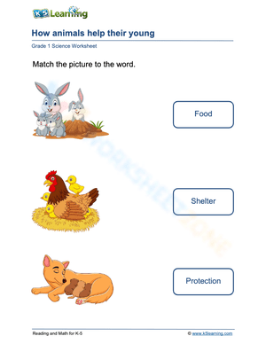 How animals help their young 2