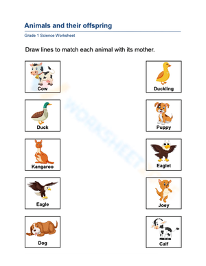Printable Animal Parents & Offspring Worksheet | Grade 1
