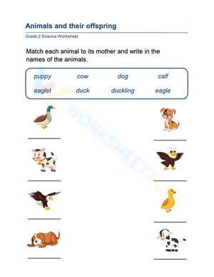 Animals and Offspring Worksheet | Grade 1 Essential