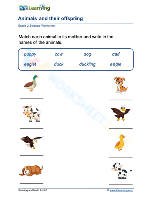 Animals and their offspring 3
