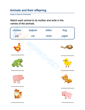 Essential Grade 1 Animals and Offspring Matching Worksheet