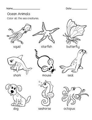 Essential Ocean Animals Worksheet | Kindergarten Science