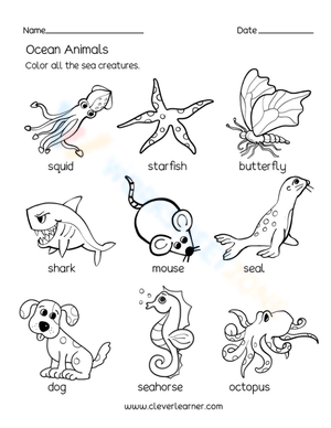 Ocean Animals