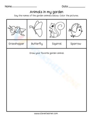 Animals in my garden