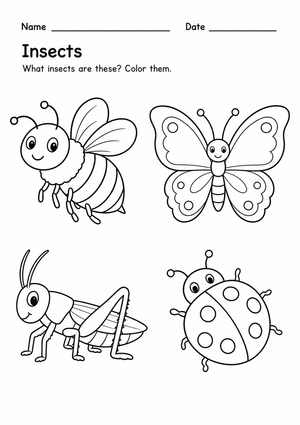 Essential Insect Identification Worksheet | Grade K Ready