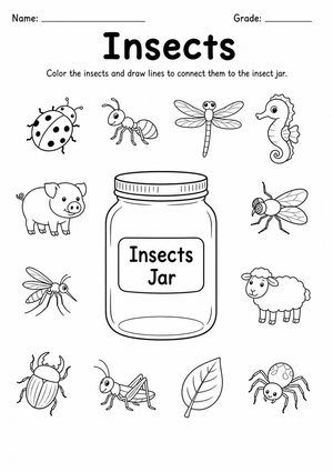 Essential Insects Jar Worksheet | Kindergarten Science