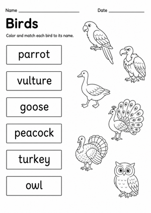 Printable Birds Matching Worksheet | Grade K-1 Science