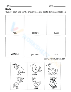 Birds - Cut and paste