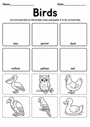 Essential Birds Cut and Paste Worksheet | Grade K-1