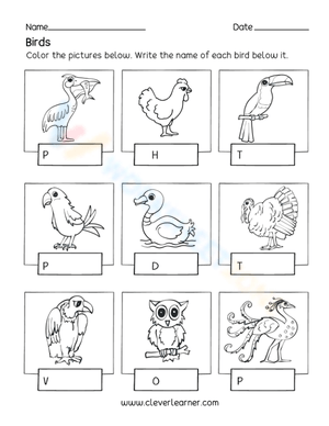 Name the birds