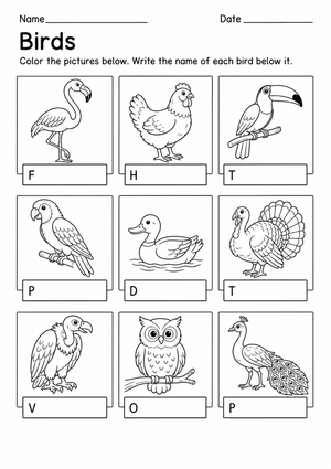 Grade K-1 Bird Naming — Printable No-Prep Worksheet