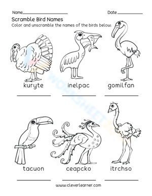 Scramble Bird Names