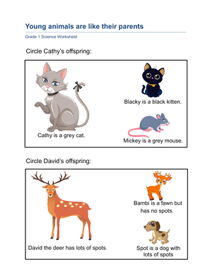 Essential Grade 1 Science: Young Animals Like Their Parents