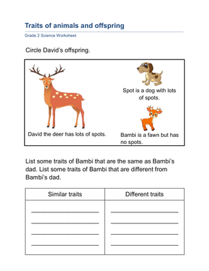 Essential Grade 2 Animal Traits and Offspring Worksheet