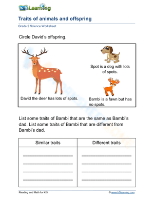 Traits of animals and offspring 2