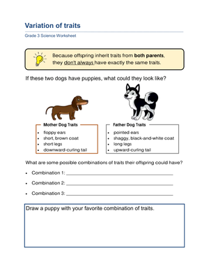Essential Variation of Traits Worksheet | Grade 3 Science