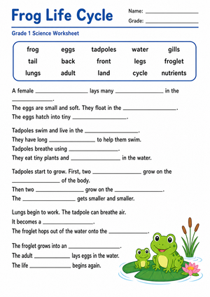 Essential Frog Lifecycle Worksheet | Grade 1 Science