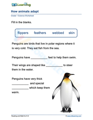 How penguins adapt