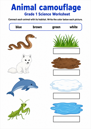 Essential Animal Camouflage Worksheet | Grade 1 Science