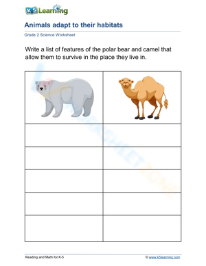 Polar bear and camel adapt to their habitats