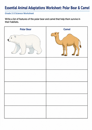 Essential Animal Adaptations Worksheet | Grade 2-3