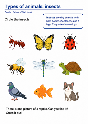Grade 1 Insects — Printable No-Prep Worksheet