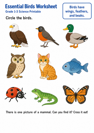 Essential Birds Worksheet | Grade 1 Science Printable