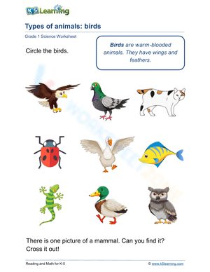 Types of animals: birds