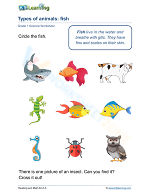 Types of animals: fish