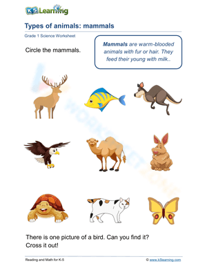 Types of animals: mammals