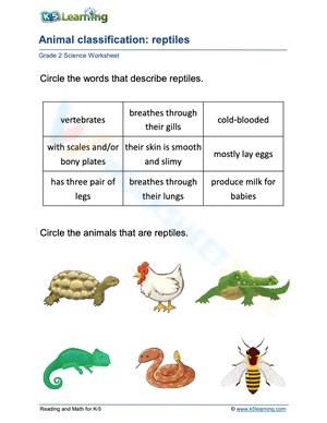 Animal classification: reptiles