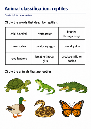 Essential Reptile Classification Worksheet | Grade 1 Ready