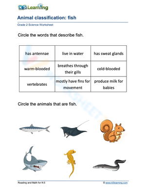 Animal classification: fish