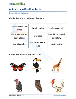 Animal classification: birds