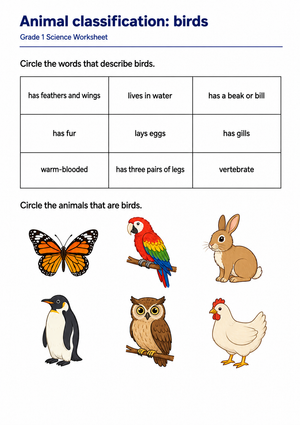 Animal Classification: Birds Worksheet | Grade 1 Essential