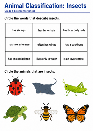 Grade 1 Insect Classification — Printable No-Prep Worksheet
