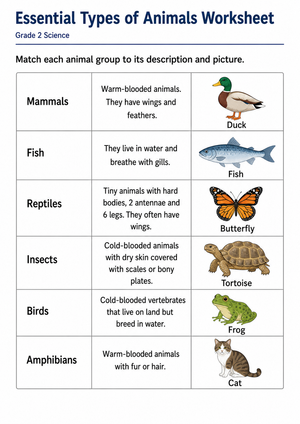 Essential Types of Animals Worksheet | Grade 2 Science