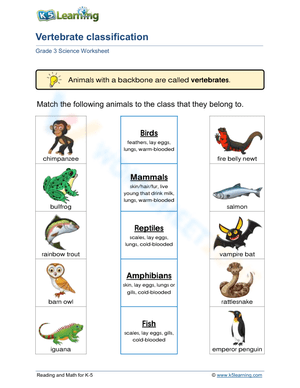 Vertebrate classification 1
